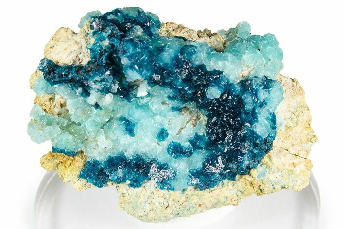 Vibrant Blue Veszelyite Cluster on Hemimorphite - Congo #351592